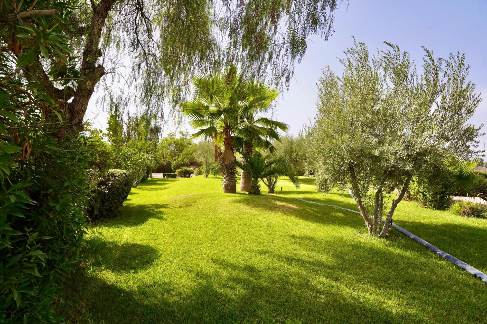 Ourika Camp Suites Hotel & Resort El Harkat Exterior foto